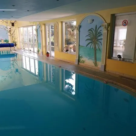 Zibi